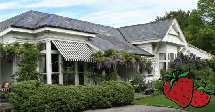 CWC Strawberry Tea 2015  Invitation FINAL.pdf